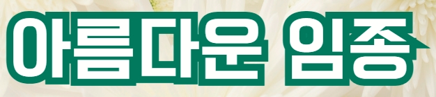 배너