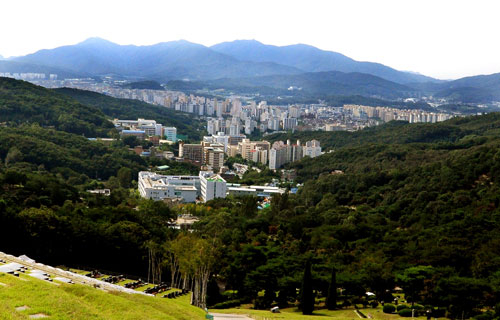 분당메모리얼파크에서 바라본 전경