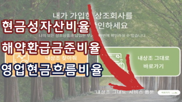 하늘문화신문 DB
