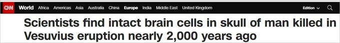 cnn 캡처