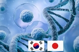 '줄기세포 치료제' 한국과 일본의 각축전