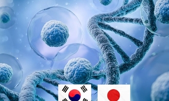 '줄기세포 치료제' 한국과 일본의 각축전