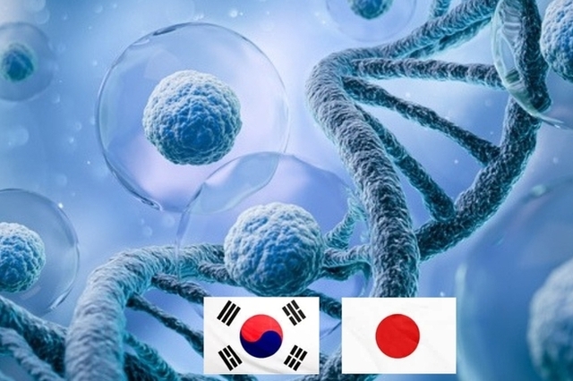'줄기세포 치료제' 한국과 일본의 각축전