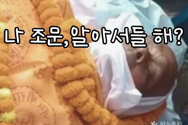가짜 장례식 통해 세상사 엿보기