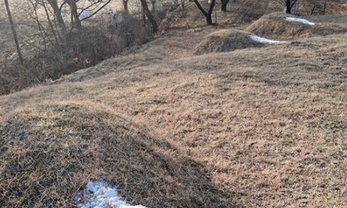 남의 조상 묘에 소금 뿌린 노인들, 이유는?