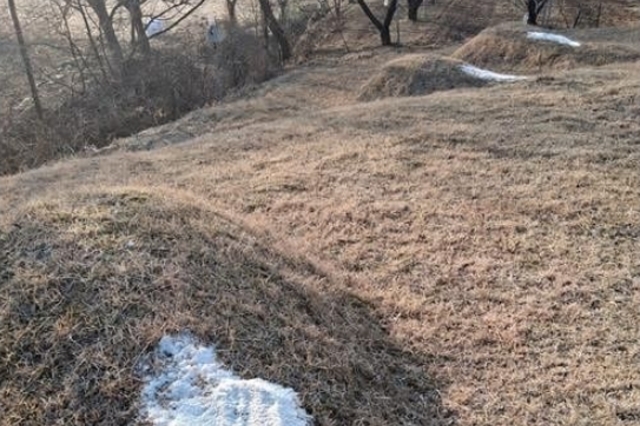 남의 조상 묘에 소금 뿌린 노인들, 이유는?