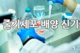 국내 첨단재생의료, 규제완화 시급