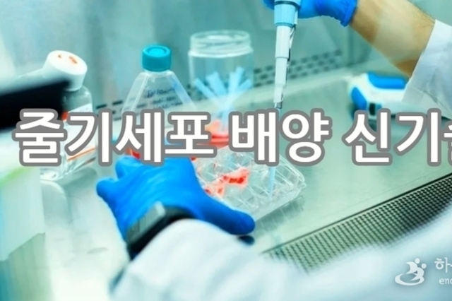 국내 첨단재생의료, 규제완화 시급